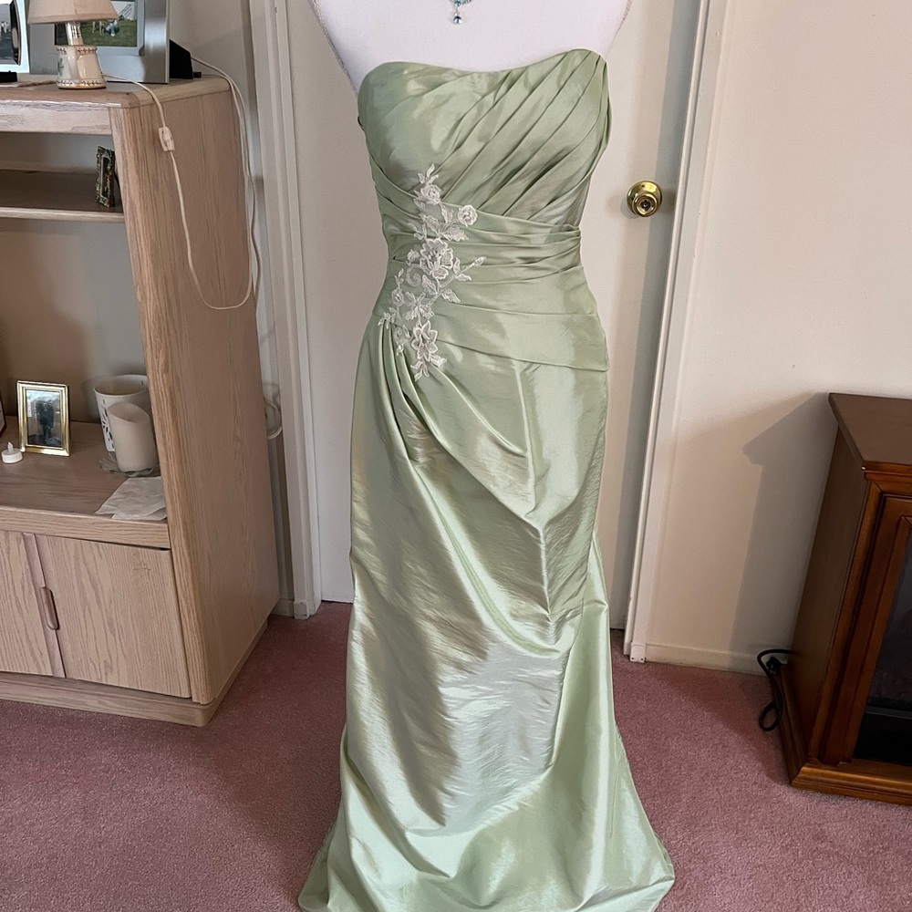 Mint green elegant gown